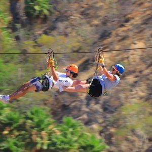 Meet your Posher, Rita